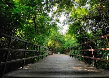 Tholkappia Poonga (Adyar Eco-Park)