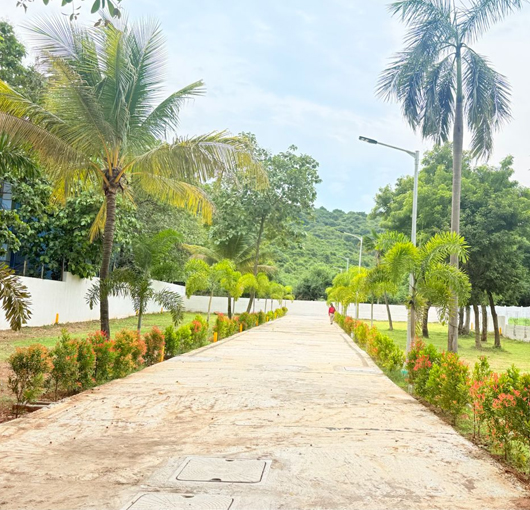 Hill View Premium Villa Plots