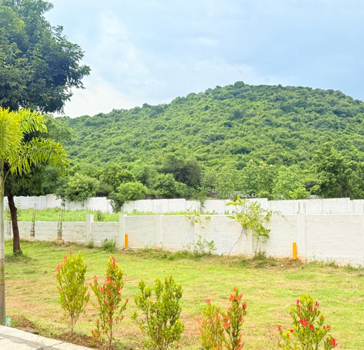Hill View Premium Villa Plots
