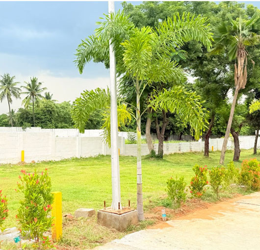 Hill View Premium Villa Plots