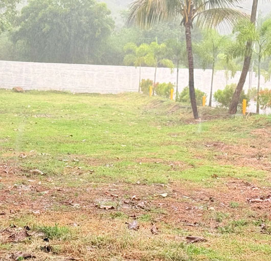 Hill View Premium Villa Plots