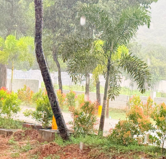 Hill View Premium Villa Plots