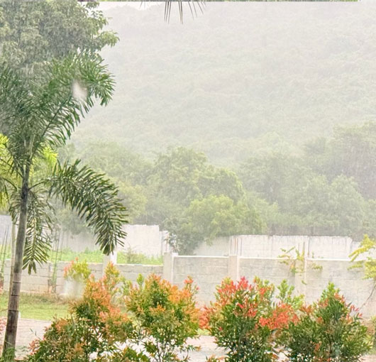 Hill View Premium Villa Plots