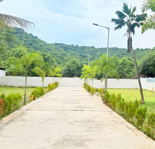 Hill View Premium Villa Plots