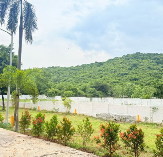 Hill View Premium Villa Plots